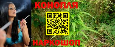 сатива Лесосибирск