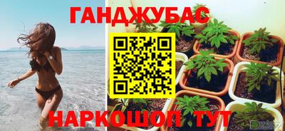 сатива Лесосибирск