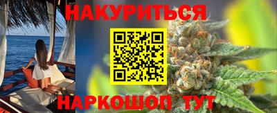 сатива Лесосибирск