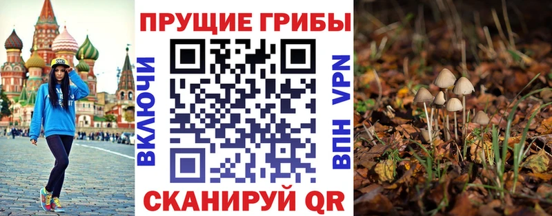 как найти закладки  Ковров  Псилоцибиновые грибы GOLDEN TEACHER 