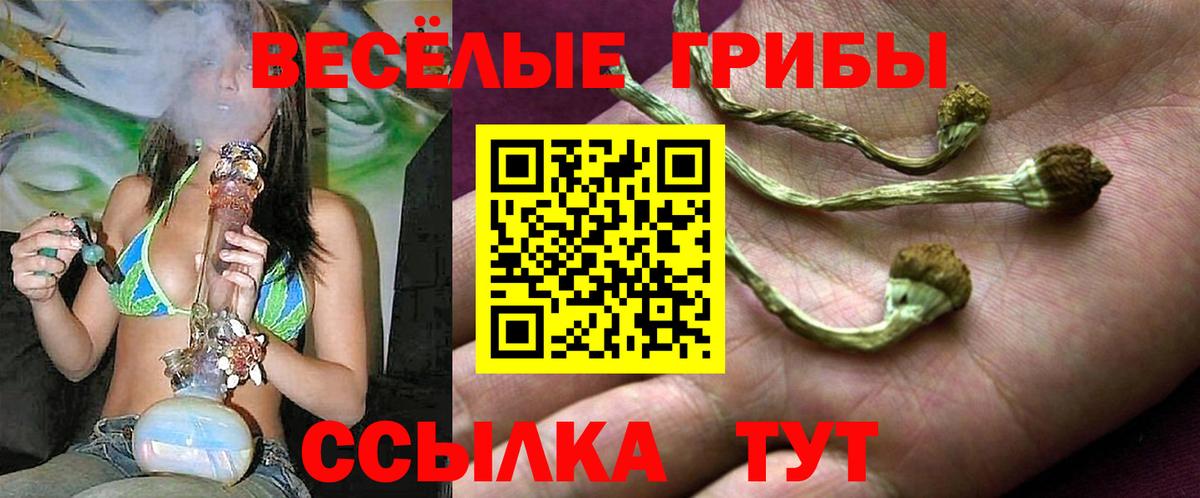 Псилоцибиновые грибы Psilocybe  Вход с VPN  Ковров 