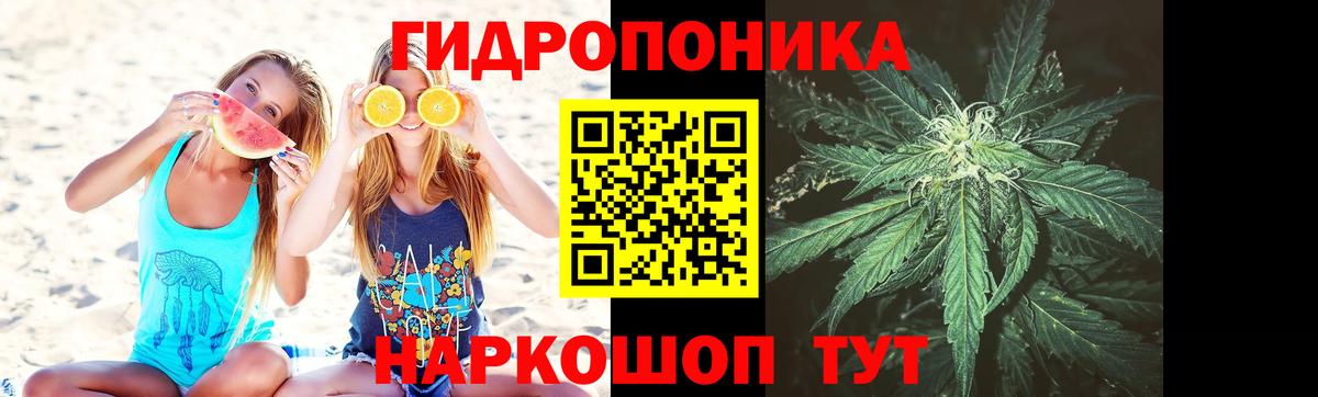 Марихуана марихуана  Вход с VPN  МАРИХУАНА White Widow  Ковров  Каннабис OG Kush 